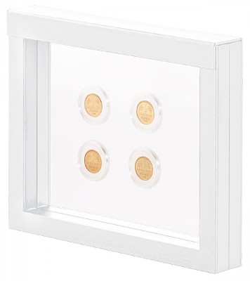 Nimbus suspending frame white from Lindner Nimbus suspending frame white from Lindner