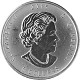 Great Horned Owl (Eule) 1oz Silber - 2015 - B-Ware