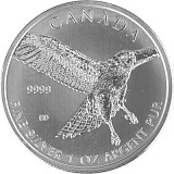 Red-Tailed Hawk (Rotschwanzbussard) 1oz Silber - 2015 B-Ware