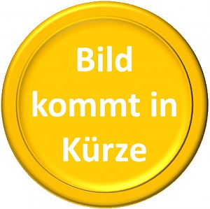 Krügerrand 1/10oz Gold - 2023