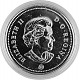 1 Canada Dollar 23,29g Silber (2007 - 2011)