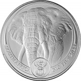 Südafrika Big Five Elefant 1oz Platin 2023 (regelbesteuert)