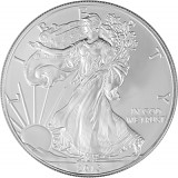 American Eagle 1oz Silber - 2013