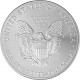 American Eagle 1oz Silber - 2013