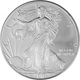 American Eagle 1oz Silber - 2010