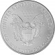 American Eagle 1oz Silber - 2010