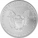 American Eagle 1oz Silber - 2009