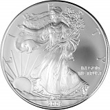 American Eagle 1oz Silber - 2008