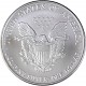 American Eagle 1oz Silber - 2007