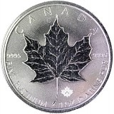 Maple Leaf 1oz Platin diff.