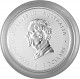Lunar III Schlange 2oz Silber - 2025 (regelbesteuert)