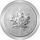 Maple Leaf Privy Mark Sternzeichen 1oz Silber – 2004