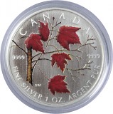 Maple Leaf 1 Unze Silber - coloriert