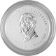 Australien Lunar III Schlange 1oz Silber - 2025 (regelbesteuert) Australien Lunar III Schlange 1oz Silber - 2025 (regelbesteuert)
