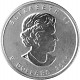 Wildlife Grizzly 1oz Silber - 2011